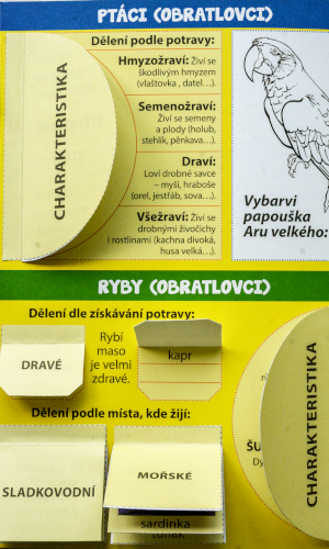 Školní lapbook - Česká republika