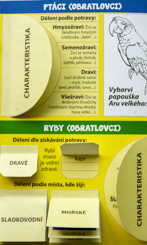 Školní lapbook - Prvouka: Živočichové